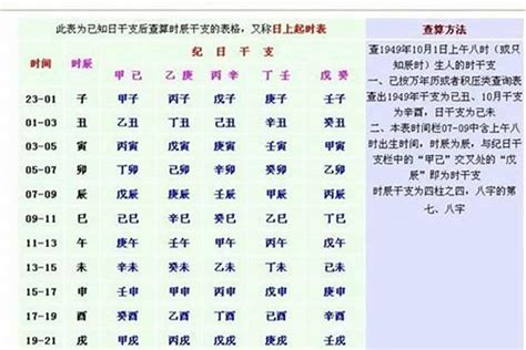 木鼠命|壬子年出生人的命运详解 壬子年生人是什么命